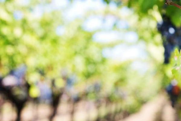 Hvorfor vælge økologisk børnetøj?